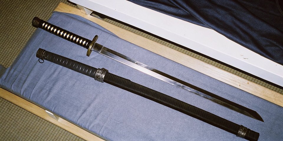 A brand name Diablo blade side-by-side with a high-quality unbranded blade.